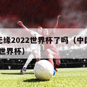 中国队无缘2022世界杯了吗（中国队无缘2022年世界杯）